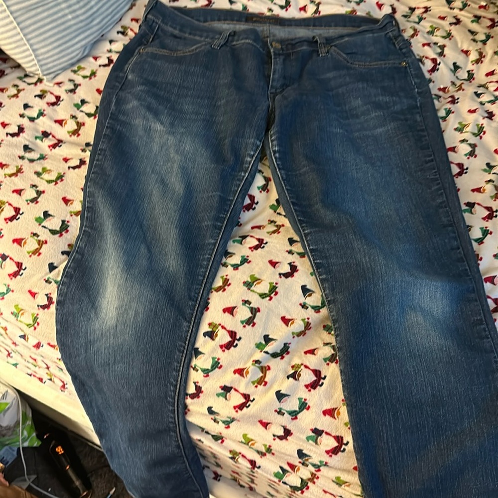 James jeans size 30